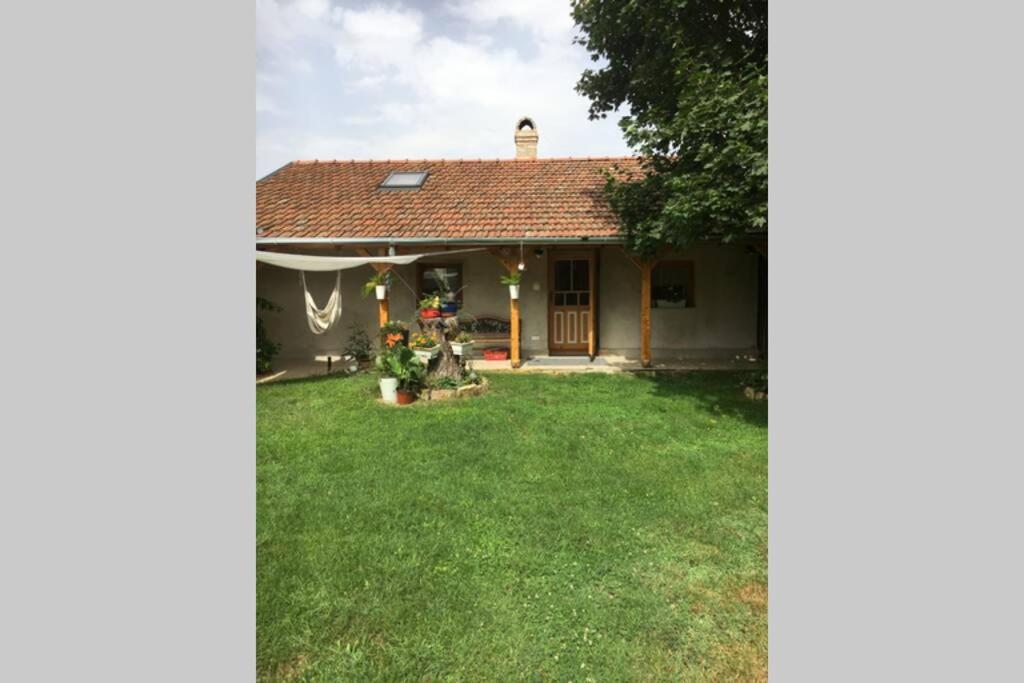 Ferienwohnung Tanya Anna Csengele Exterior foto
