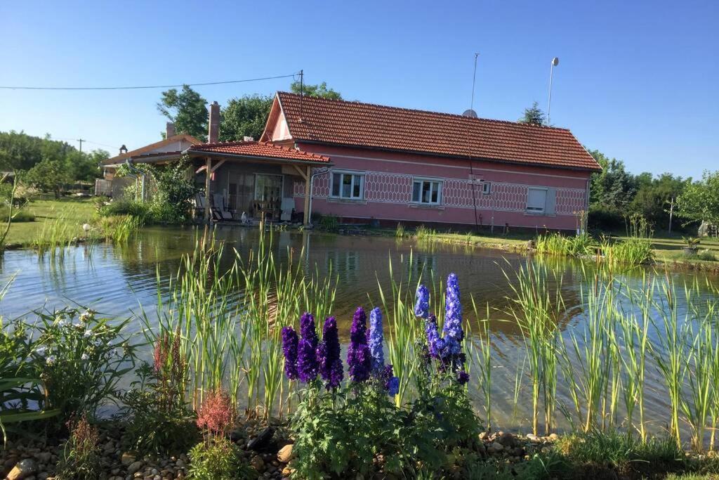 Ferienwohnung Tanya Anna Csengele Exterior foto